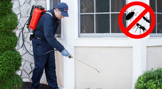 Egekent Kemirgen İlaçlama böcek ilaçlama ve haşere kontrolü — ilaclama-tr.com